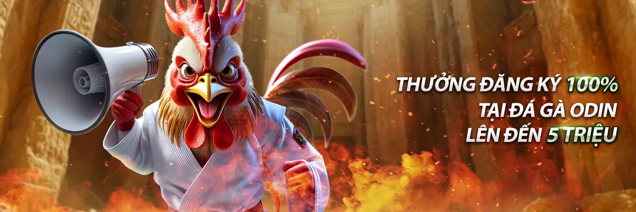 Hình ảnh Chính Sách Cookie bl555 win về bảo mật dữ liệu và quyền riêng tư trực tuyến